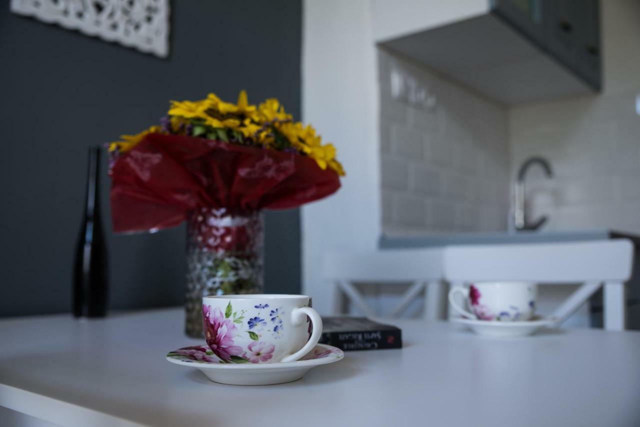 Ultra Central Apartment Κλουζ-Ναπόκα Εξωτερικό φωτογραφία